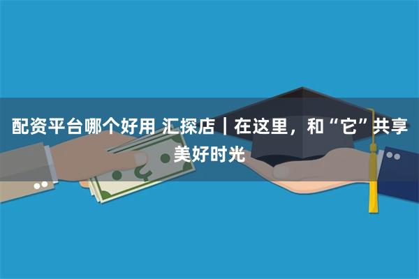 配资平台哪个好用 汇探店|在这里,和“它”共享美好时光