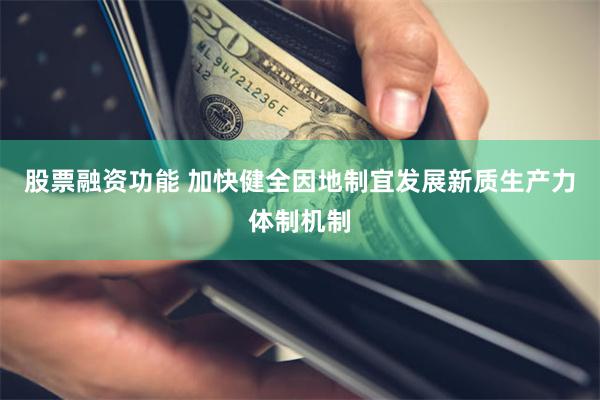 股票融资功能 加快健全因地制宜发展新质生产力体制机制