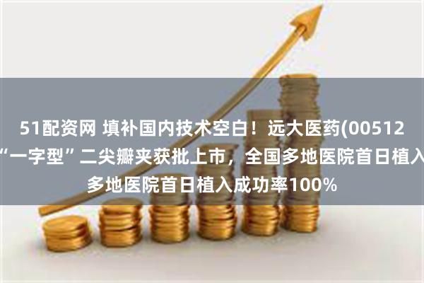 51配资网 填补国内技术空白！远大医药(00512)NeoNova?“一字型”二尖瓣夹获批上市，全国多地医院首日植入成功率100%