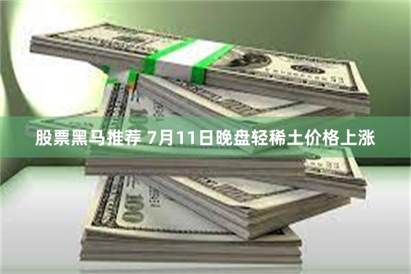 股票黑马推荐 7月11日晚盘轻稀土价格上涨