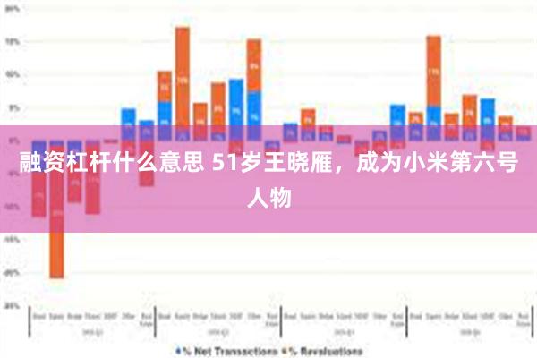 融资杠杆什么意思 51岁王晓雁，成为小米第六号人物