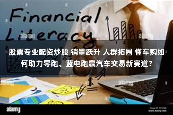 股票专业配资炒股 销量跃升 人群拓圈 懂车购如何助力零跑、蓝电跑赢汽车交易新赛道？