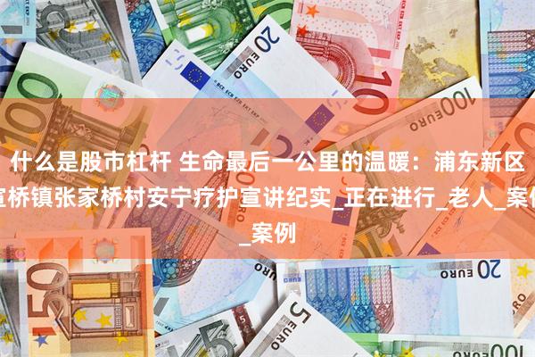 什么是股市杠杆 生命最后一公里的温暖：浦东新区宣桥镇张家桥村安宁疗护宣讲纪实_正在进行_老人_案例